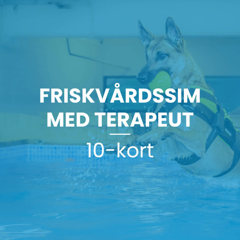 Friskvårdssim med terapeut 10-kort