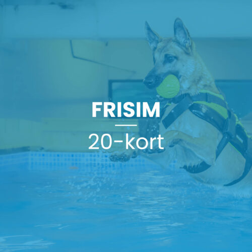 Frisim 20-kort