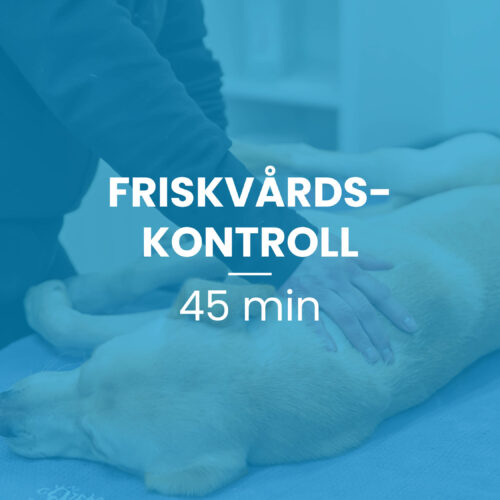 Friskvårdskontroll 45 min