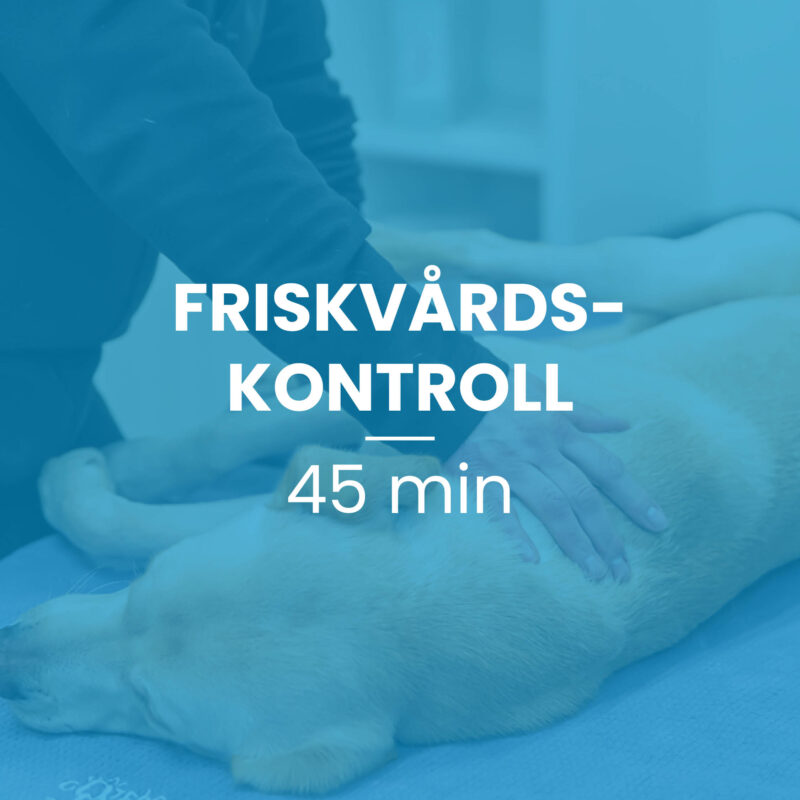 Friskvårdskontroll 45 min