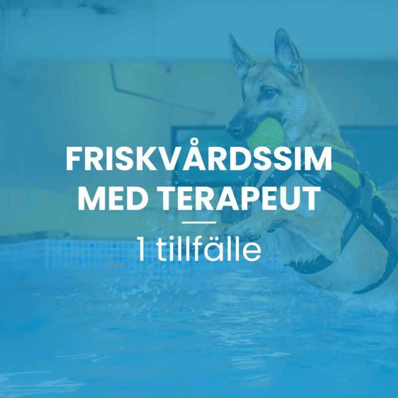 Friskvårdssim med terapeut 1 tillfälle, 30 min