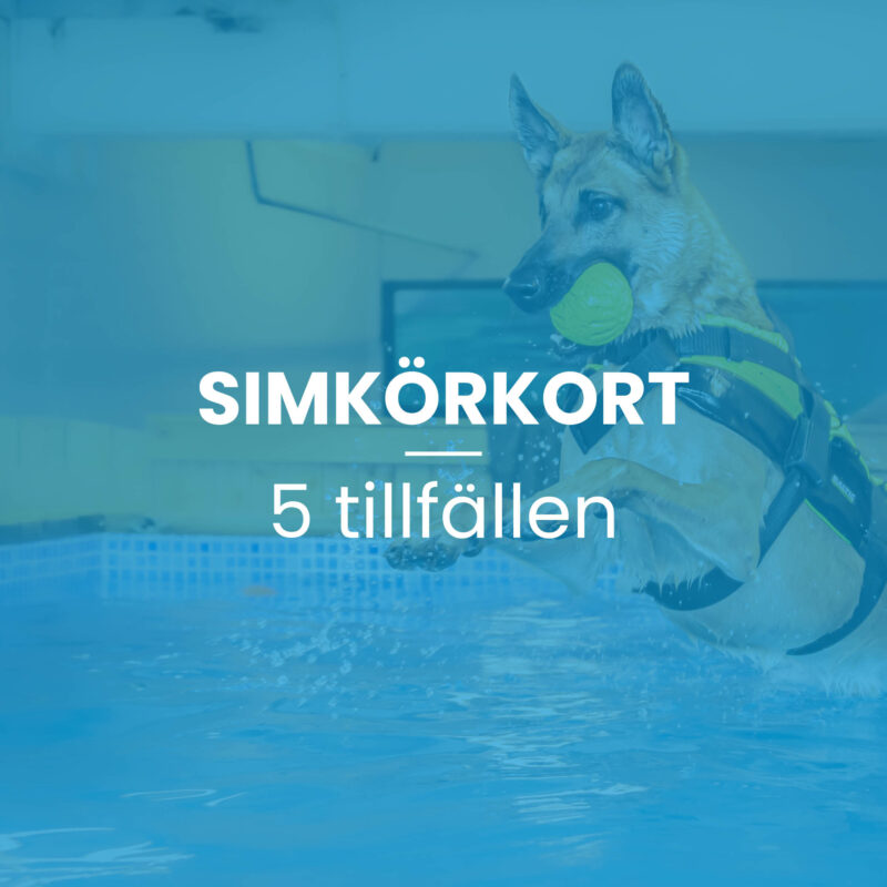 Simkörkort (5-tillfällen)