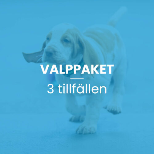 Valppaketet 3 tillfällen, 45 min per tillfälle