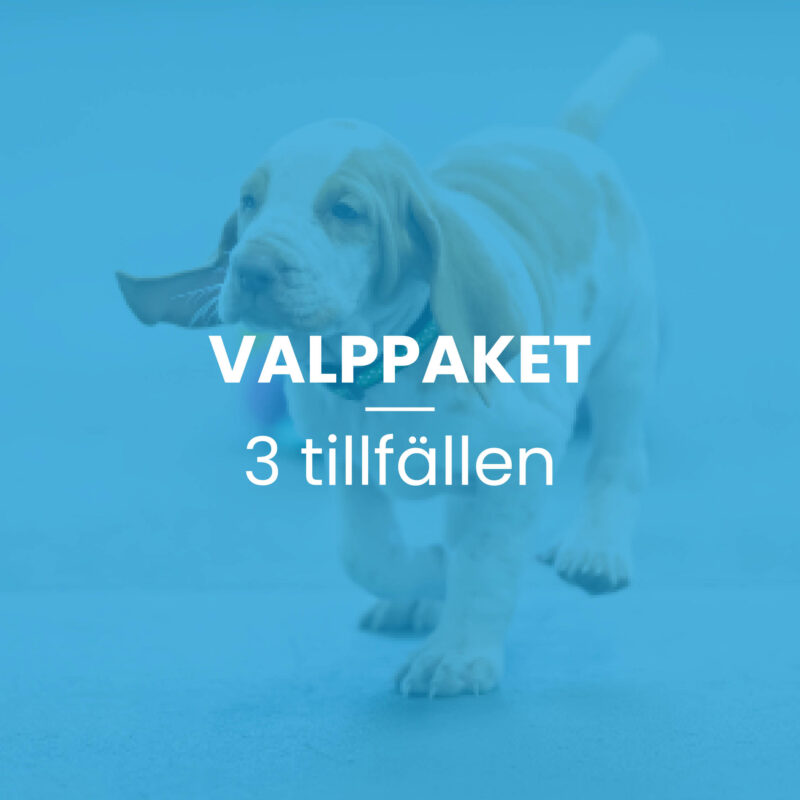 Valppaketet 3 tillfällen, 45 min per tillfälle