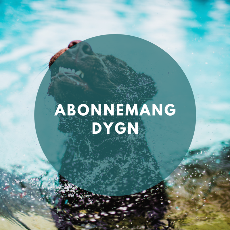 Abonnemang hundsim-Dygn