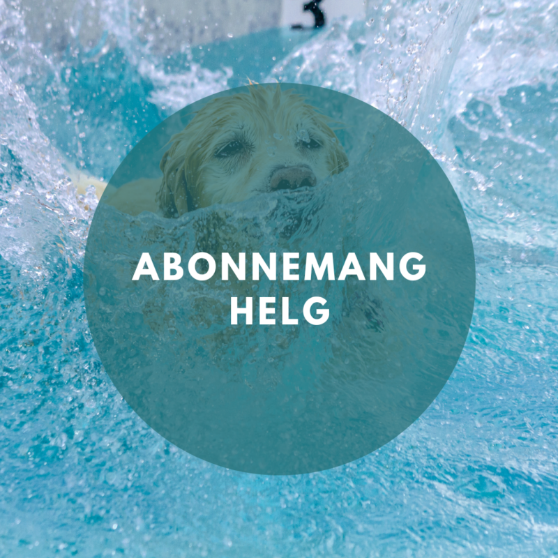 Abonnemang hundsim-Helg