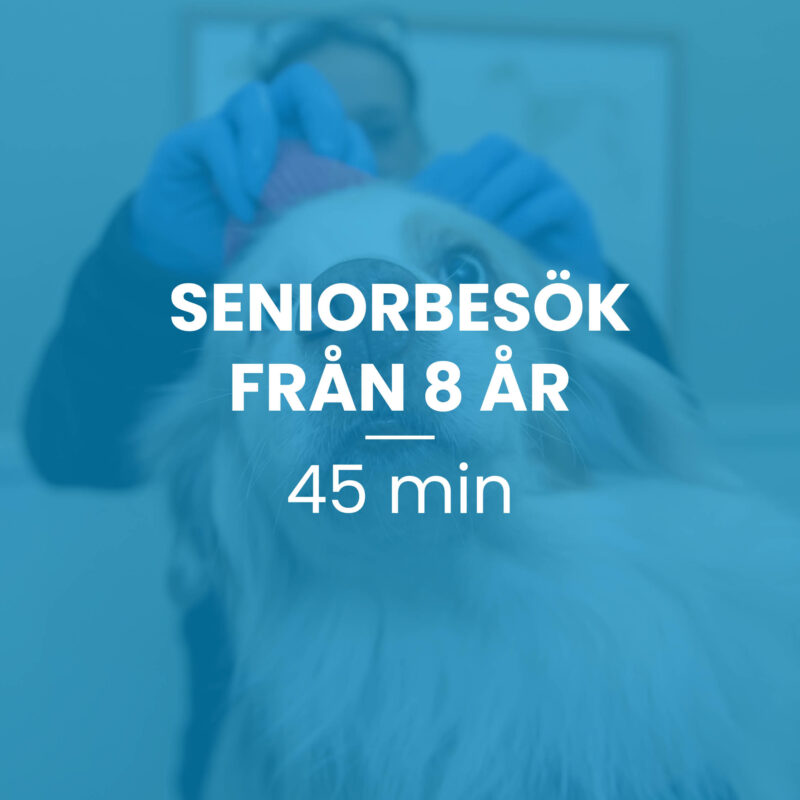 Seniorbesök från 8 år, 45 min